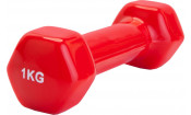 Набор гантелей обрезиненных по 1 кг, красные, 2 шт Набор гантелей обрезиненных по 1 кг, красные, 2 шт